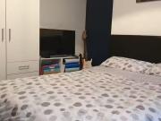 Terraced house to rent in Kirkby Street, Lincoln LN5