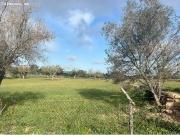 Terraced Houses en Venta en Santa Eulalia del Rio, Islas...