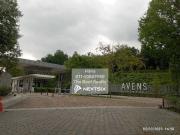 Terrace/Link/Townhouse