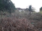Terrain 1019 m 2