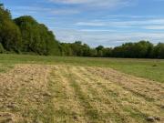 Terrain 1050 m2 begadan Terrain 1050 m2 begadan