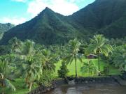 Terrain