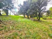 Terrain