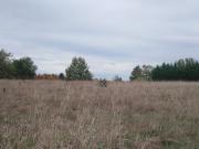 Terrain 1500 m2 st remy