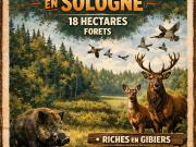 Terrain 15,39 hectares