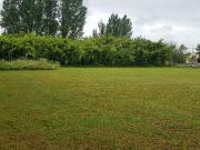 Terrain 1610 m2 st savin