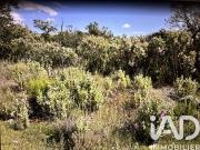 Terrain 1,01 hectare