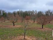 Terrain 1,18 hectare