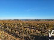 Terrain 1,59 hectare