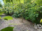 Terrain 1,61 hectare