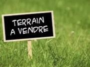 Terrain
