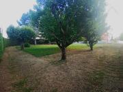 Terrain