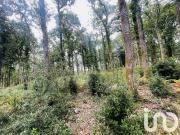 Terrain 28,89 hectares