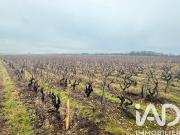 Terrain 2,43 hectares