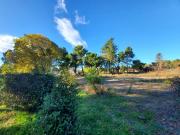 Terrain