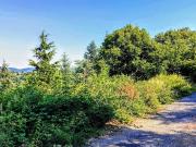 Terrain 3 240 m²