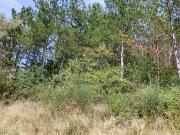 Terrain 3,77 hectares