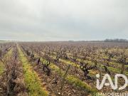 Terrain 3,97 hectares