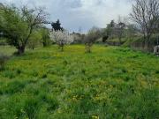 Terrain