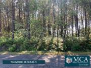 Terrain 485 m2 sanguinet