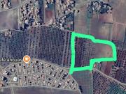 Terrain 4Ha titre, R2 villas lotissement
