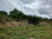 TERRAIN TERRAIN