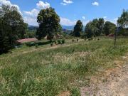 Terrain