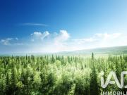 Terrain 5,26 hectares