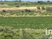 Terrain 5,26 hectares