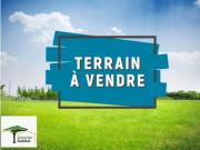 Terrain