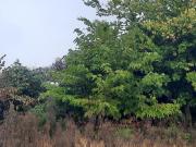 Terrain 700 m2 bordeaux