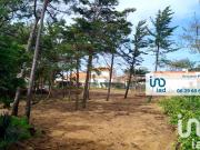 Terrain 781 m² Terrain 781 m²