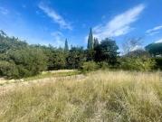Terrain