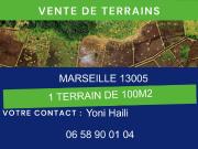 Terrain