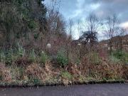 Terrain 993 m²