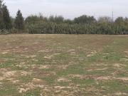 Terrain à acheter à Assam. Superficie 490 m² Terrain à acheter à Assam. Superficie 490 m²