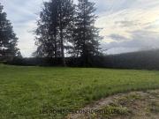 SAINT DIDIER AU MONT D'OR Beau Terrain plat à bâtir...