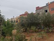 Terrain à bâtir à Berkane de 111m2