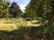 Terrain à bâtir à vendre à Brion 49250