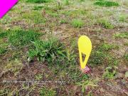 Terrain à bâtir à vendre à Le Vivier sur Mer 35960