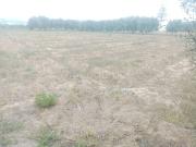 Terrain à Boubarek Nador