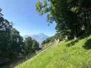 Terrain à Chesières