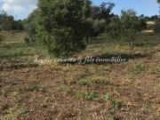 Terrain à vendre sur Sainte Maxime