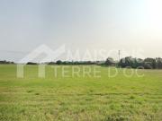 Terrain à vendre à Montaigut Sur Save