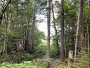 Terrain à vendre à SainteAdèle Laurentides Chemin de...