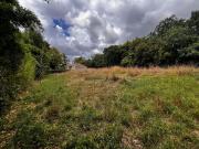 Terrain à vendre GENOUILLE 17