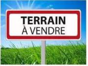 Terrain à vendre LA CHAPELLE GACELINE 56 borné