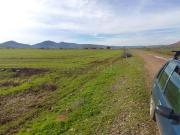 Terrain agricole 12,28 ha fertile à Aït Ouribel