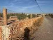 Terrain agricole à vendre Oujda Jerada