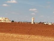 Terrain Agricole de 4 hictars titres